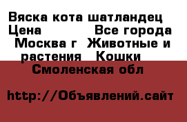 Вяска кота шатландец › Цена ­ 1 000 - Все города, Москва г. Животные и растения » Кошки   . Смоленская обл.